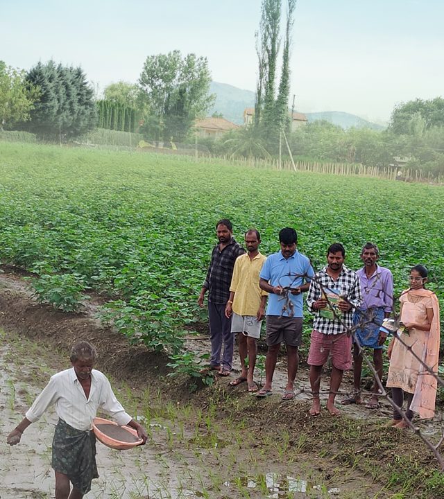 Farm
